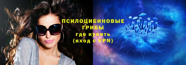 ПСИЛОЦИБИНОВЫЕ ГРИБЫ Алзамай